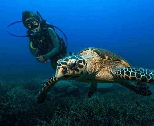Adult swimming lessons in Kajang with certified coach